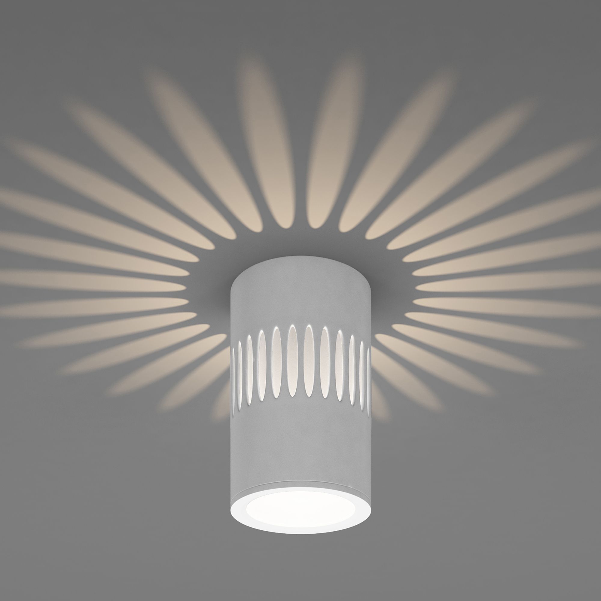 Накладной светодиодный светильник с подсветкой белый DLS026