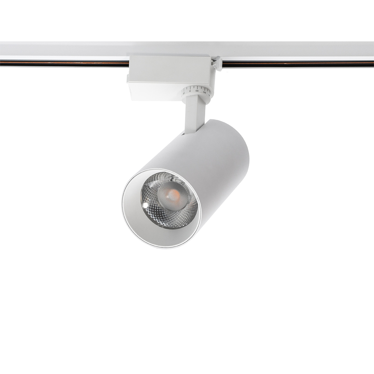 PTR 0730 FOOD MEAT 30w 24° WH IP40