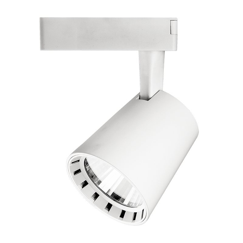 PTR 0330 30w 4000K 24° WH IP40