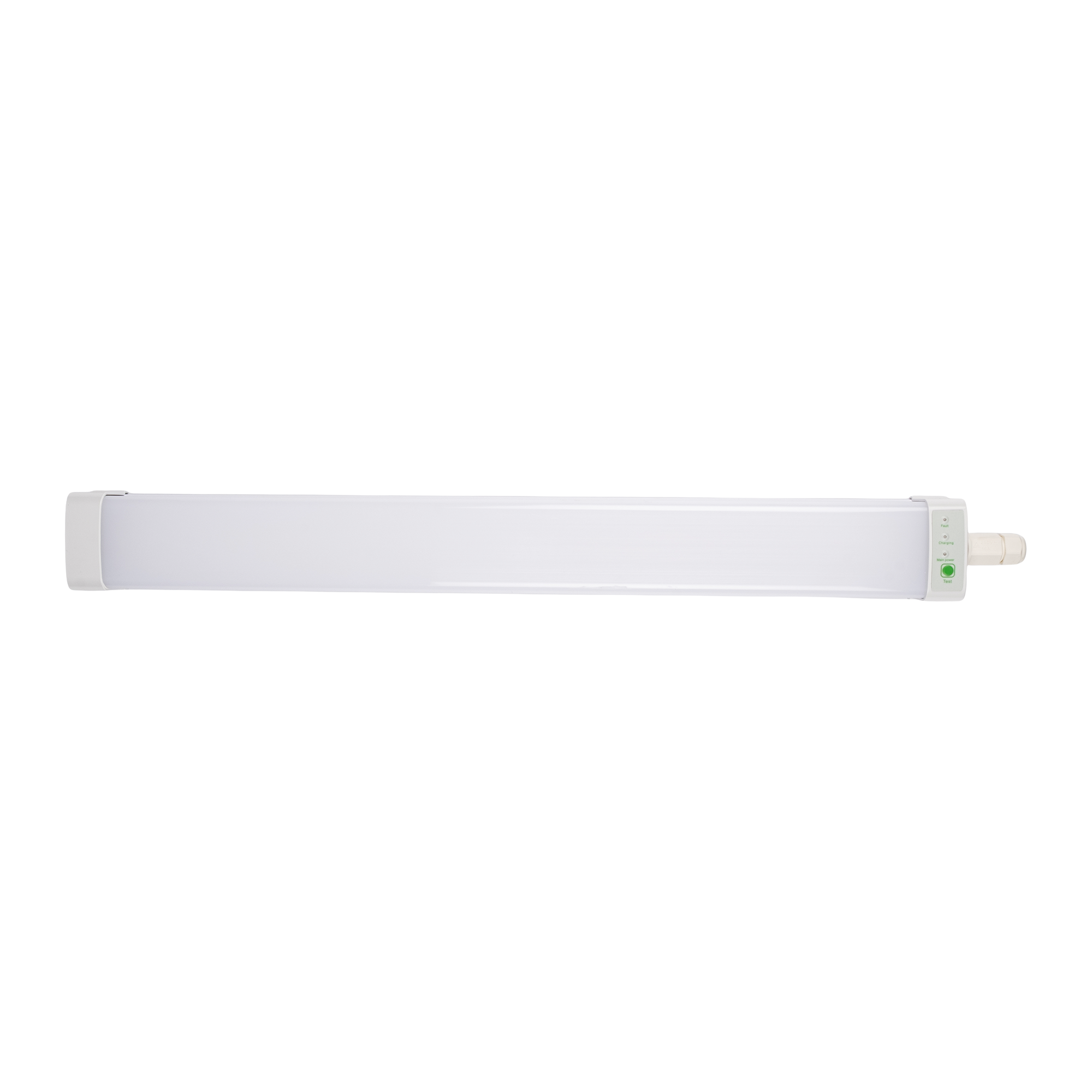 PWP-C3-E1 600 18w 4000K с БАП IP65