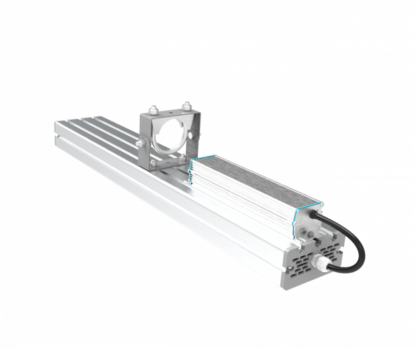 SVT-STR-M-CRI80-81W-60