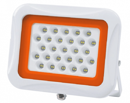 PFL-SA-50w 6500K 60° IP65