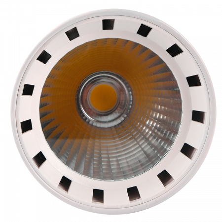 PTR 0330 30w 4000K 24° WH IP40