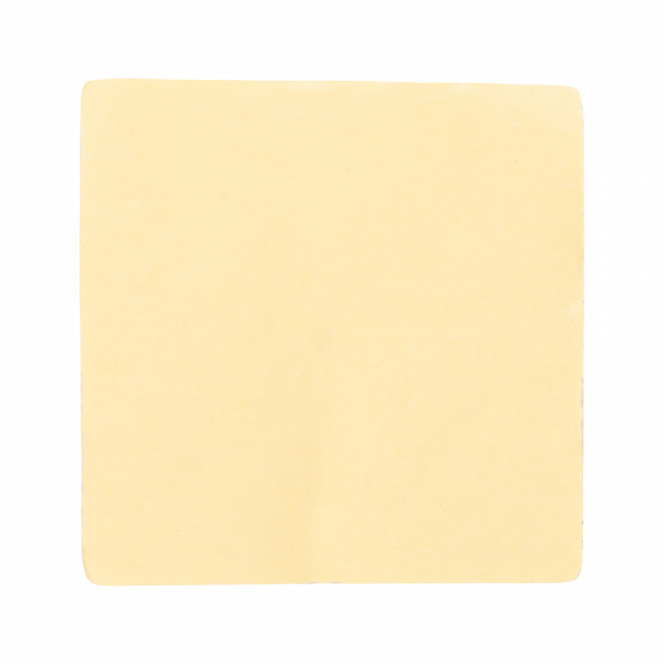 PCP-SG 40x40-100BL PA6.6