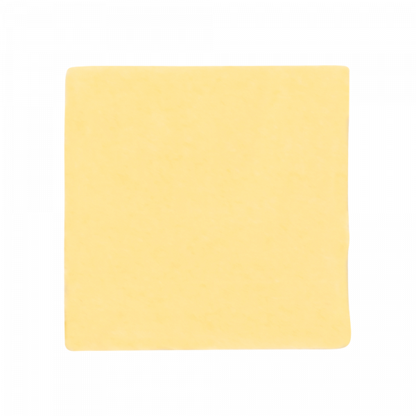 PCP-SG 25x25-100WH PA6.6