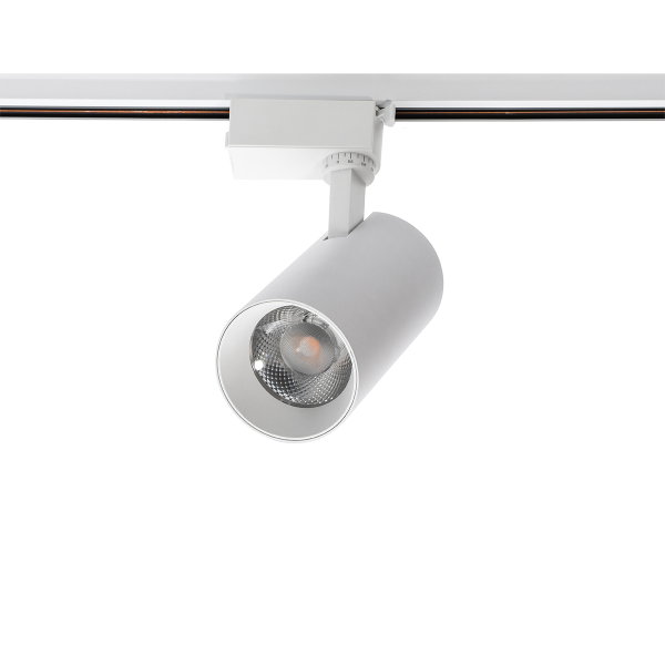 PTR 0730 FOOD MEAT 30w 24° WH IP40