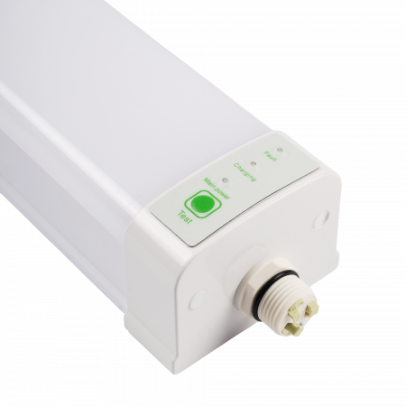 PWP-C3-E1 600 18w 4000K с БАП IP65