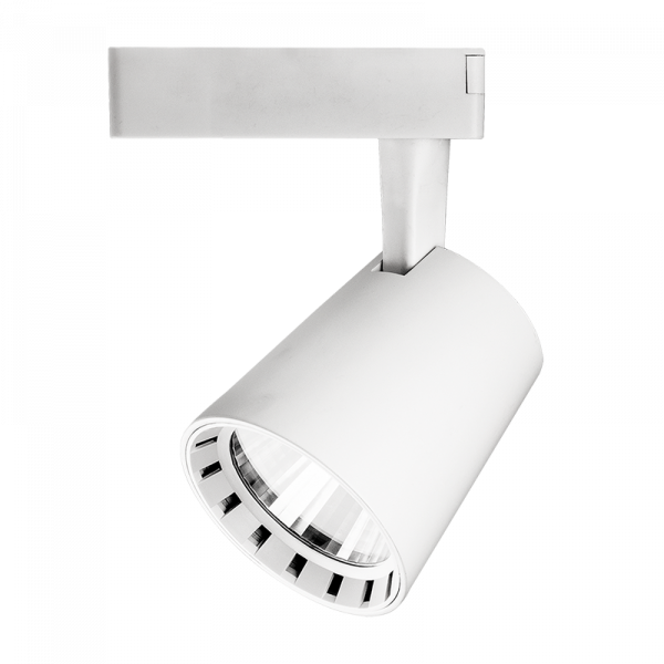 PTR 0330 30w 4000K 24° WH IP40