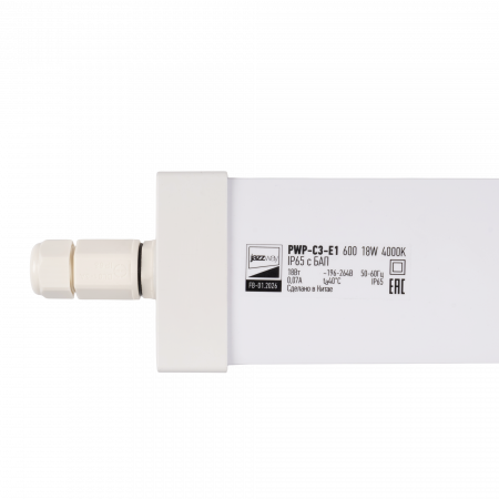 PWP-C3-E1 600 18w 4000K с БАП IP65