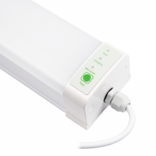 PWP-C3-E1 600 18w 4000K с БАП IP65