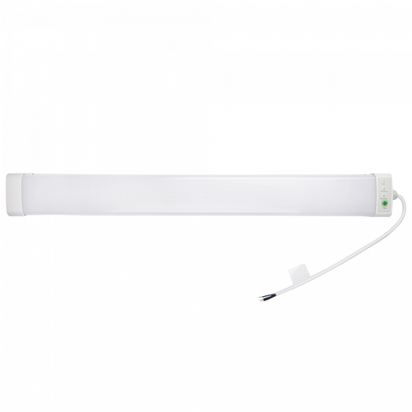 PWP-C3-E1 600 18w 4000K с БАП IP65