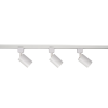PTR 1512 3*12w 4000K 24° White IP40