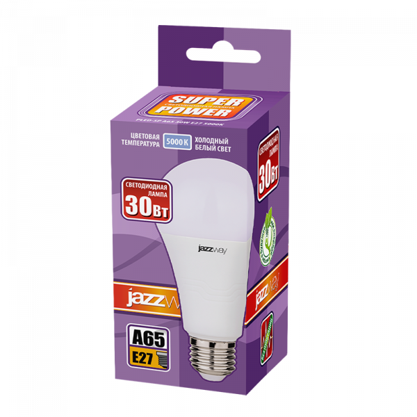 PLED-SP A65 30w E27 5000K