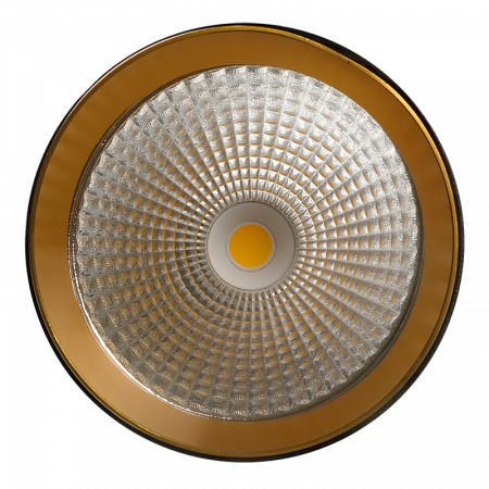 PTR 2310 10w 3000K 30° BL IP40