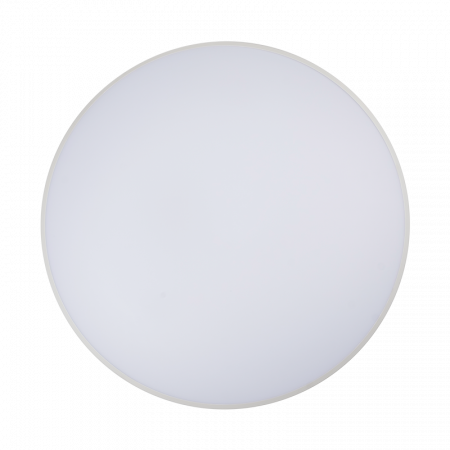 PPB OPAL 70W 6500K WH IP20