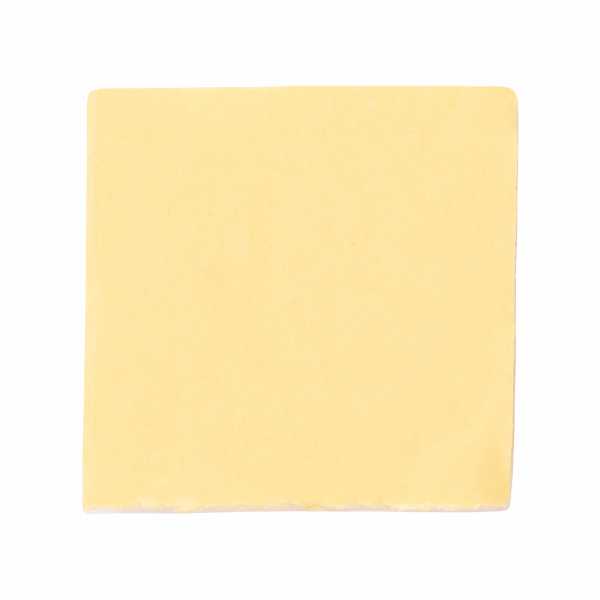 PCP-SG 40x40-100WH PA6.6