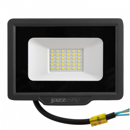 PFL-C3 30w 6500K IP65