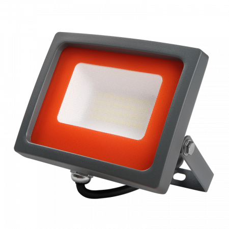 PFL-SC-30w 6500K IP65