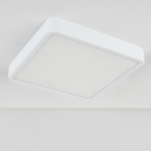 Накладной потолочный светодиодный светильник DLS034 18W 4200K