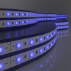 Светодиодная лента Лента светодиодная 24V 14,4W 60Led 5050 IP65 синий, 5м