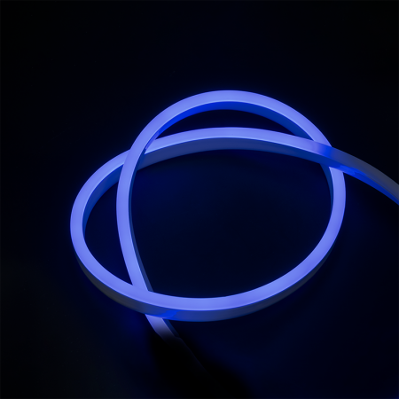 PFN-01 2835/120 220V Blue IP65