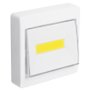 TS3-L2W