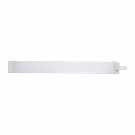 PWP-C3-E1 600 18w 4000K с БАП IP65