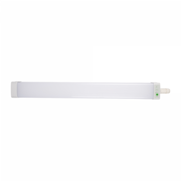 PWP-C3-E1 600 18w 4000K с БАП IP65