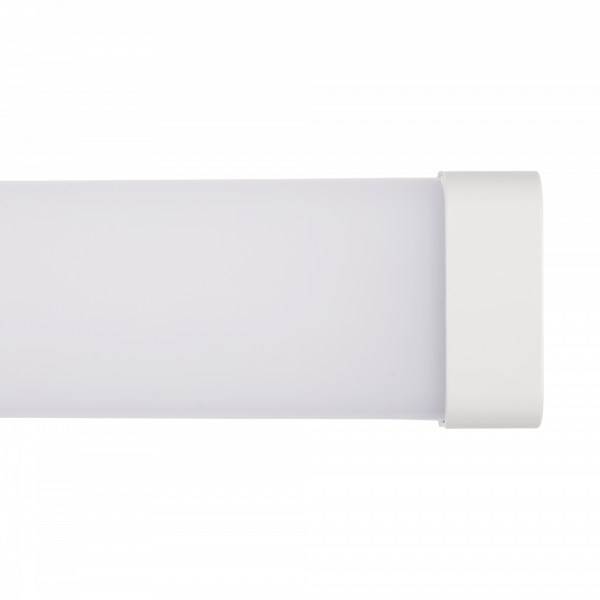 PWP-C3-E1 600 18w 4000K с БАП IP65